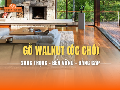 Gỗ Walnut (Óc Chó): Vì Sao Được Ưa Chuộng Trong Nội Thất Cao Cấp?