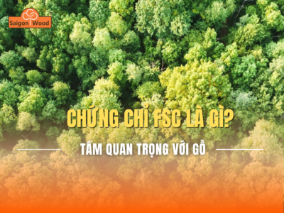 FSC là gì? Vì sao chứng nhận FSC quan trọng với sản phẩm gỗ?