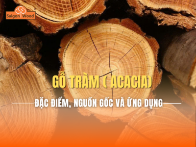 Gỗ Tràm Là Gì? Đặc Điểm, Nguồn Gốc Và Ứng Dụng Trong Nội Thất Hiện Đại