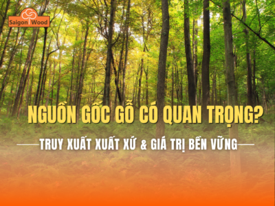 Vì sao nguồn gốc gỗ và truy xuất xuất xứ ngày càng được quan tâm?