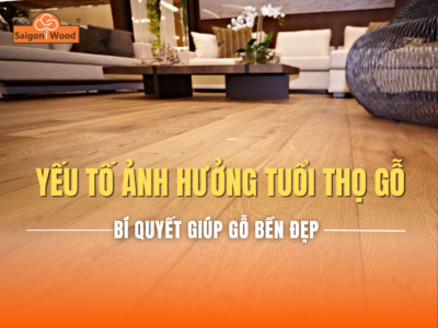 Những Yếu Tố Ảnh Hưởng Đến Tuổi Thọ Của Gỗ – Bí Quyết Giúp Gỗ Bền Đẹp Hàng Chục Năm