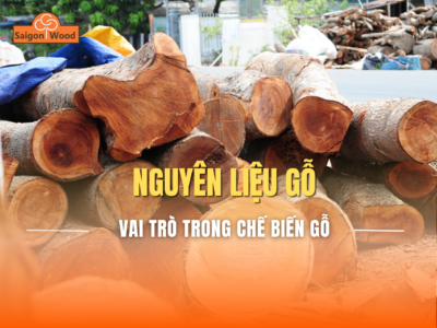 Gỗ nguyên liệu là gì? Vai trò quan trọng trong ngành chế biến gỗ