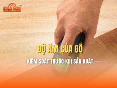 Độ ẩm của gỗ là gì? Vì sao cần kiểm soát trước khi sản xuất?