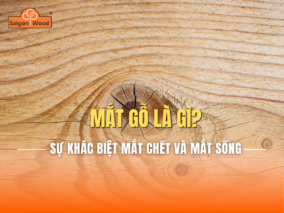 Mắt gỗ là gì? Mắt sống và mắt chết khác nhau thế nào?