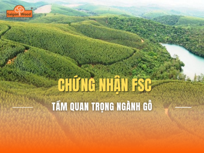 Chứng Nhận FSC Là Gì? Ý Nghĩa Đối Với Chuỗi Cung Ứng Gỗ